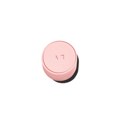 Magnetic Storage Hook I1