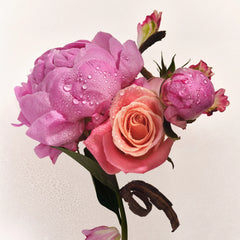 Scent Layering Trio N3