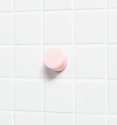 Magnetic Storage Hook I1