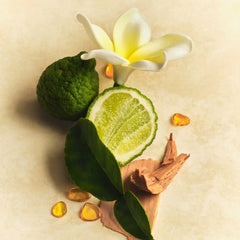Scent Layering Trio B6